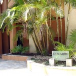 ENTRADA GINASTICA