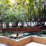 VISTA DA PISCINA SAINDO SOCIAL MARMO